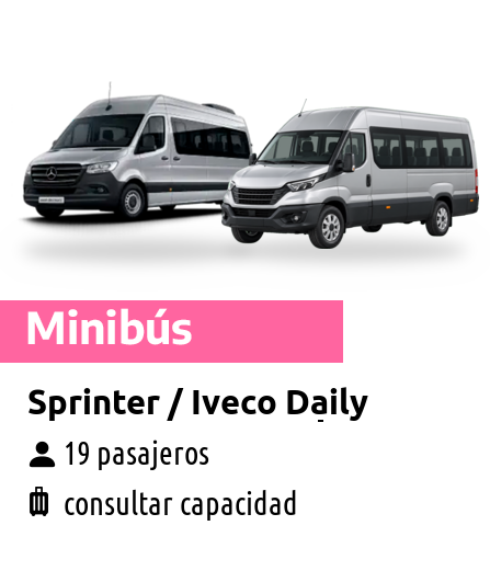 Minibús para traslados